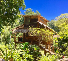 A Treehouse the Green Frog Romantic setting & Pool